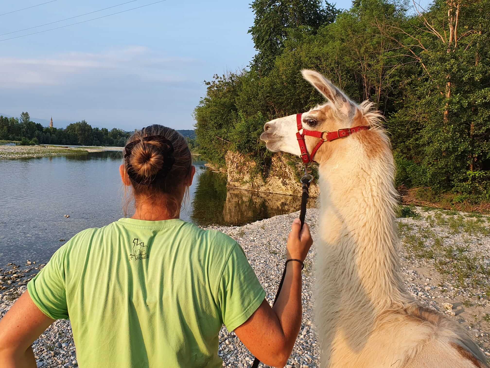 Alpaca Trekking Sul Montello