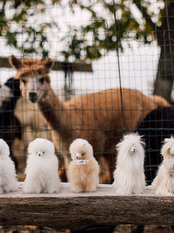 Peluche Alpaca